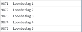 loonbeslag6.png